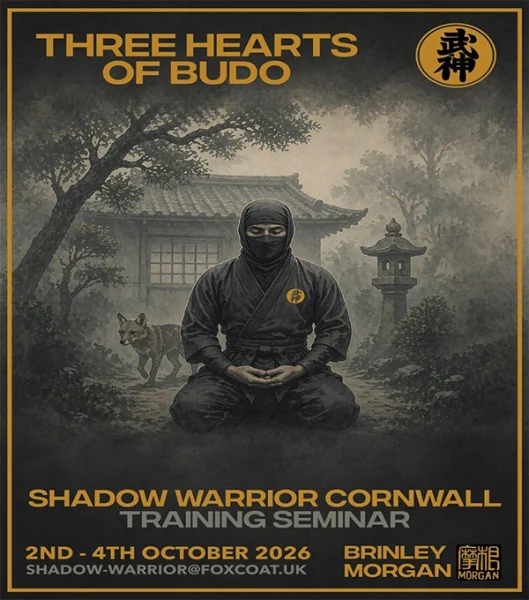 Shadow Warrior Cornwall Training Seminar
